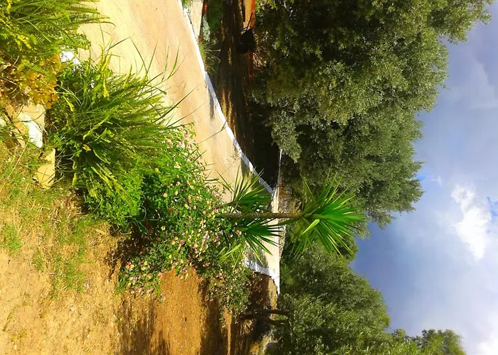 Daphne Studios