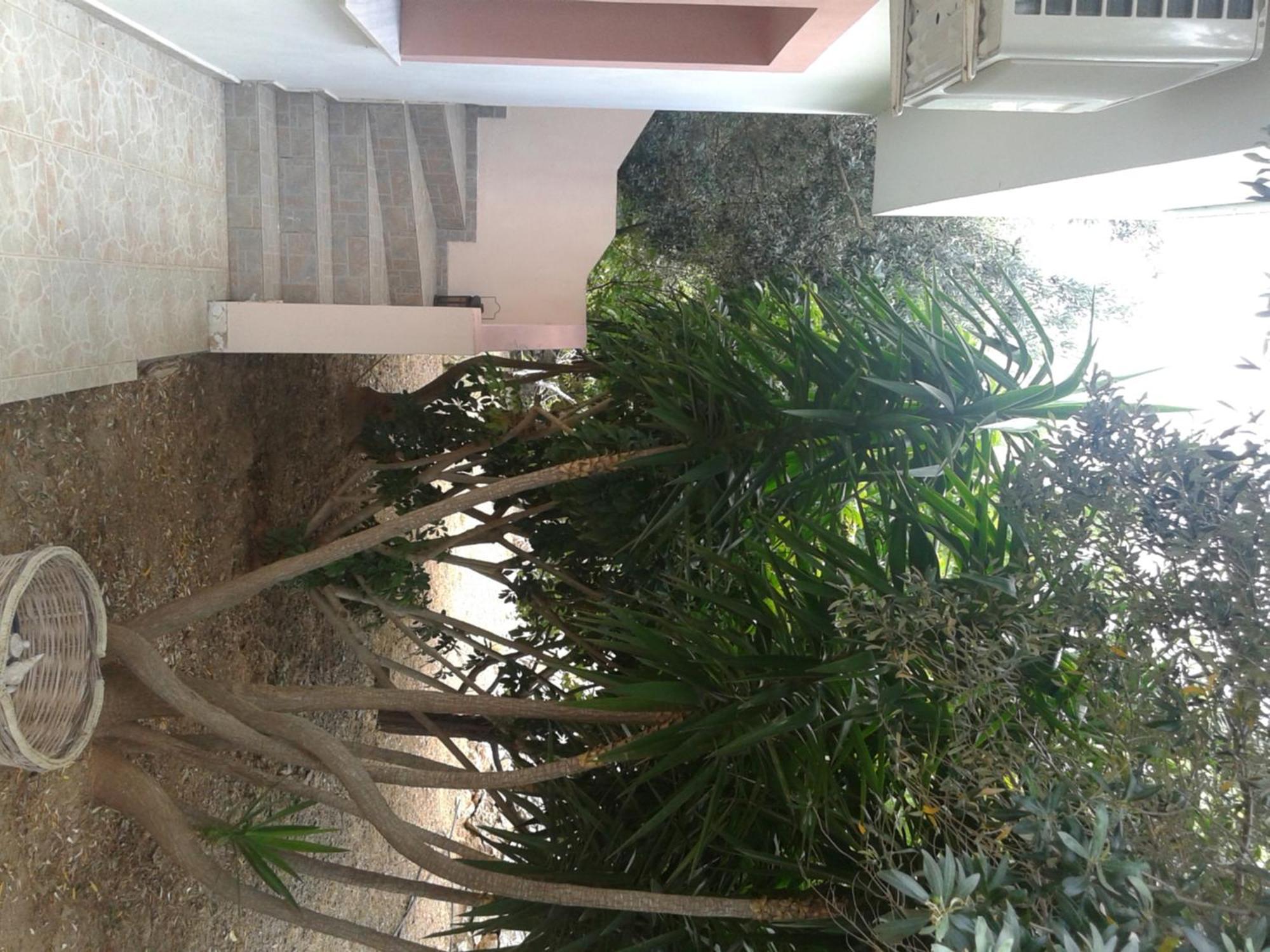 Daphne Studios